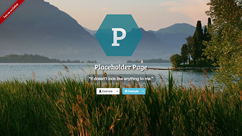 Placeholder Page web component feature image
